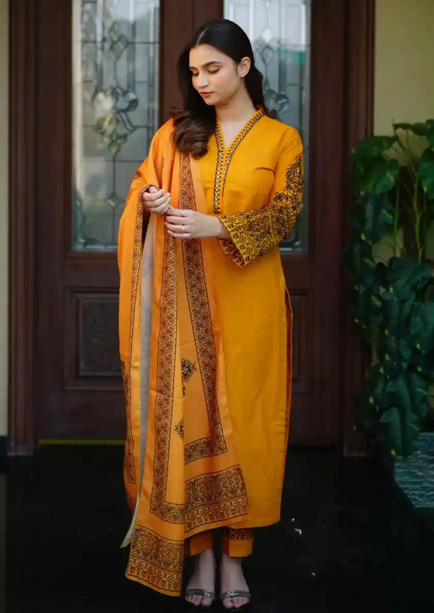 Amberline 3pc Stitched embroidered