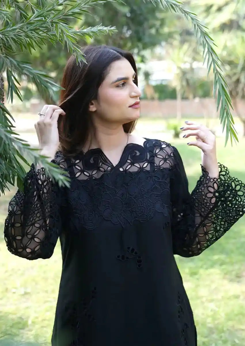 Sayne 2pc Stitched embroidered